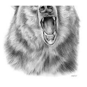 Meet your Posher, Lace